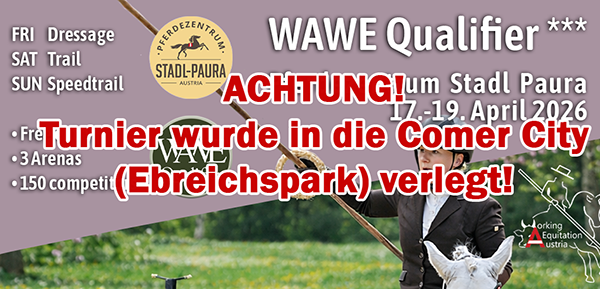 Turnier Verlegt (Stadl Paura -> Ebreichspark)