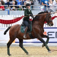Silke Falschlunger